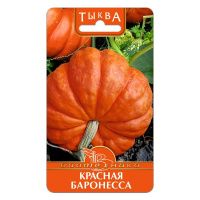 02Би3150 Тыква  Красная Баронесса NDS