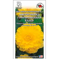 Бегония Америгибрид Еллоу F1