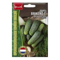 02Гр3016 Огурец Brandino F1 Seminis  5шт.-НОВИНКА NDS