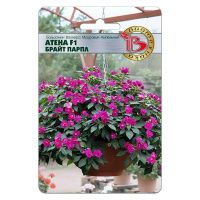 02Би3237 Бальзамин Валлера махровый ампельный  Атена F1 Брайт Парпл