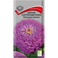 Цинния георгиноцветковая Фиолетовая королева (ЦВ) (1) 0,4гр