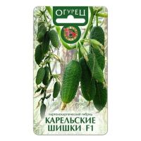 02Би2914 Огурец Карельские Шишки F1  NDS