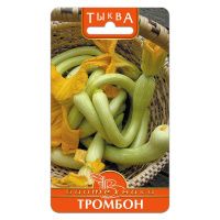 02Би3157 Тыква  Тромбон NDS