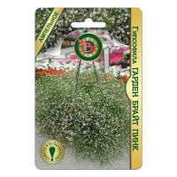 02Би3240 Гипсофила Гарден Брайт Пинк NDS