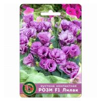 02Би3260 Эустома (лизиантус) компактная махровая Рози F1 Лилак NDS