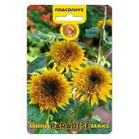 02Би3250 Подсолнух махровый компактный Мини-Макс F1 Парадиз NDS