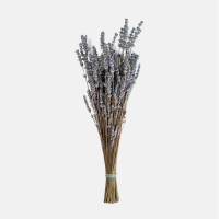 Веник лаванда