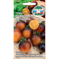 томат Фиолетовая Галактика