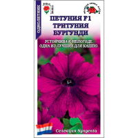 Петуния Тритуния Бургунди