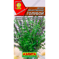 Иссоп лекарственный голубой