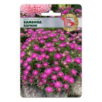 02Би2868 Астра китайская Бамбина Кармин NDS