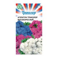 Га019887 Агератум Триколор высокорослый  смесь (серия) 0,15 г