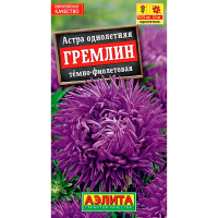 Астра однолетняя Гремлин тёмно-фиолетовая