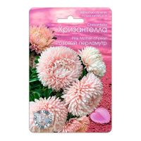 02Би2883 Астра китайская Хризантелла Розовый перламутр NDS