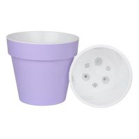 ПР20-21 ПР20-21 Протея 3,7л  Лаванда-белый пласт.горш. d20 h18,5 с вкладкой