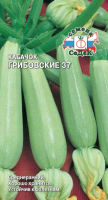 v8_24C0_34c61