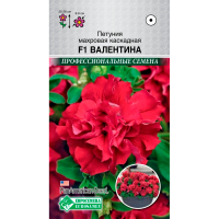 Петуния ВАЛЕНТИНА F1 махровая каскадная Петуния ВАЛЕНТИНА F1 махровая каскадная