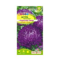 02Се2834 Цветы Астра Фиолетовая Башня Сем Алт цп 0,2 гр.