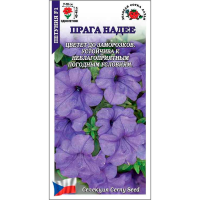 Петуния Прага Надее F1
