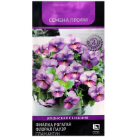 Фиалка рогатая Флорал Пауэр Плам Антик (Семена Профи) (ЦВ) (М) 10шт