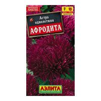 02Аэ1253 Астра Афродита