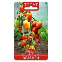 02Би3092 Томат Леденец  NDS