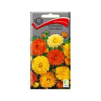 02По5089 Календула Смесь окрасок (ЦВ) (1) 1гр.