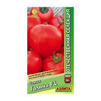 02Аэ1173 Томат Галина F1