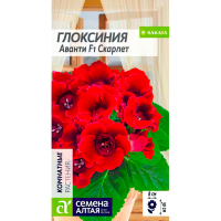 Глоксиния Аванти Скарлет F1