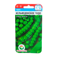 v8_24C0_34fcd