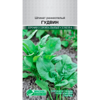 Шпинат ГУДВИН раннеспелый