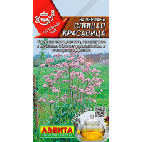 Валериана Спящая красавица