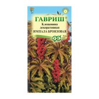 Га010019 Клещевина Импала бронзовая 5 шт. DH
