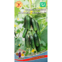 Огурец Молодо-зелено