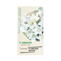 Га014616 Ширококолокольчик крупноцветковый (Платикодон) Звезда белая F1, 4 шт. Саката