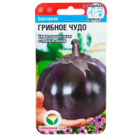 v8_24C0_34f76 v8_24C0_34f76