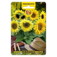 02Би3252 Подсолнух компактный Мини-Макс Парвус NDS