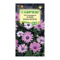 Га010095 Остеоспермум Пэшн пинк шейдс  3 шт. Н23