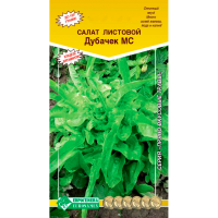 Салат листовой ДУБАЧЕК МС