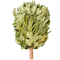 Веник из порослевого дуба с эвкалиптом ПРЕМИУМ ДМ (18)