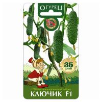 02Би2917 Огурец  Ключик F1 NDS