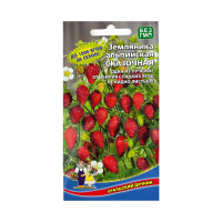 Земляника Сказочная - альпийская