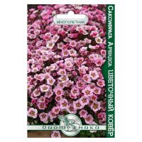 02Би3163 Саксифрага Арендса Цветочный Ковёр NDS