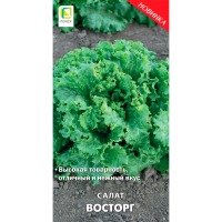 Салат Восторг (А) (ЦВ) 1гр