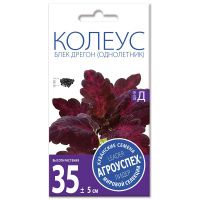 02Аг5723 Колеус Блек Дрегон, семена Агроуспех 10шт (500)