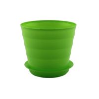 ЛР11-50 Лаура 0,7 л Лайм д.11,5 н.10, пластиковый горшок с поддоном (16 уп-128 кор)
