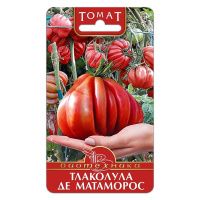 02Би3099 Томат Тлаколула де Матаморос NDS