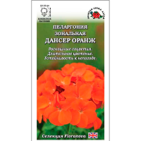 Пеларгония Дансер Оранж