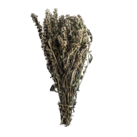 Травяной веник - Пустырник