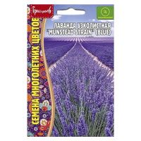 02Гр3002 Лаванда узколистная Munstead Strain Blue 30шт. NDS